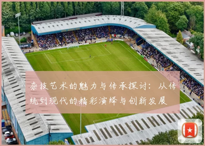 杂技艺术的魅力与传承探讨：从传统到现代的精彩演绎与创新发展